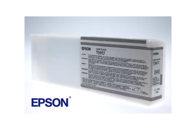EPSON Tinte light black Stylus Pro 11880, 700ml, C13T591700