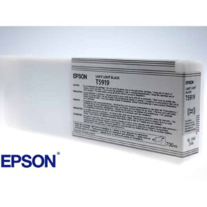 Epson Tintenpatrone Stylus Pro 11880 C13T591900 light light black 1200x800 1