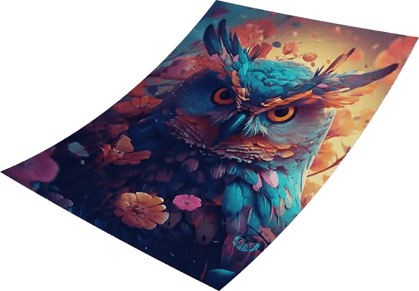 owl 1024x712 1