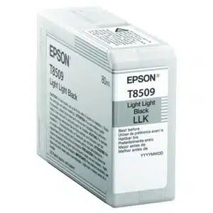 Epson Tinte SC-P800 light light black C13T850900