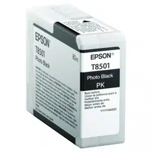 Epson Tinte SC-P800 photo black C13T850100